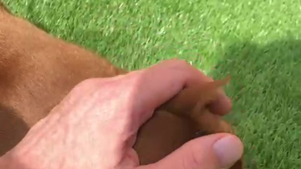 WhatsApp Video 2021-08-13 at 14.12.01 (1)